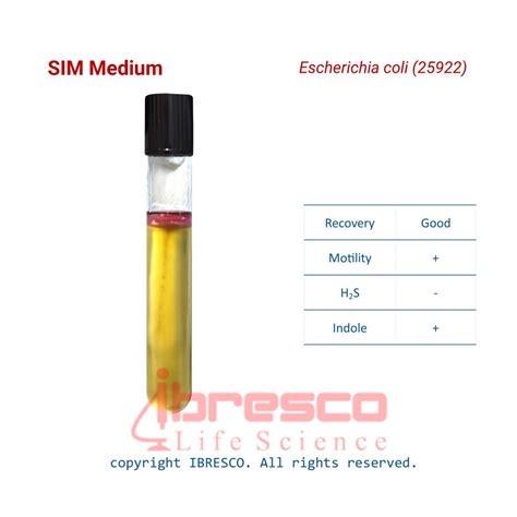 Sulfide Indole Motility Medium, SIM | ibresco