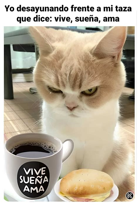 Memes de Buenos Días Chistosos🤣 » Imágenes Buenos Días