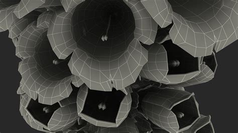 Digitalis Purpurea Plant 3D model | 3D Molier International
