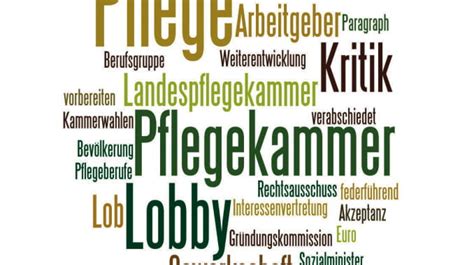 Ende der Pflegekammer: Hier Zustimmung, dort Ablehnung - Altenpflege