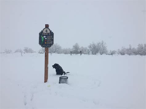 Final Storm Summary and Snowfall Totals for March 28-31