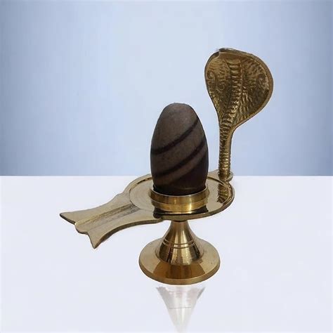 Buy Dharmsaar Brass Narmadeshwar Shivling Original for Home Pooja ...
