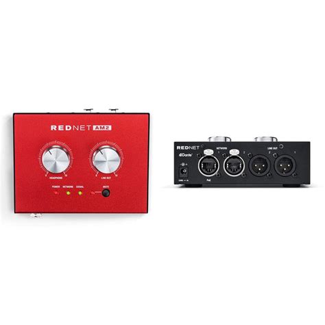 Buy Focusrite RedNet AM2 Stereo Dante Headphone Amplifier and Line-Out ...