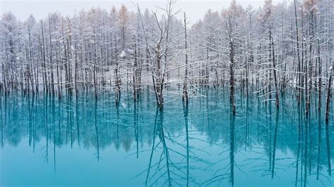 lake, Trees, Nature, Turquoise, Water, Snow, Reflection, Winter, Japan, Landscape, Cold, Mist ...