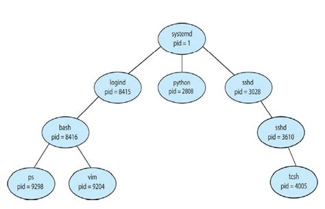 Thread Parent Process 的图像结果