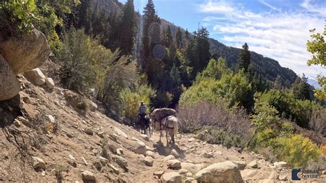 Horsetail Falls Hike from the Dry Creek Trailhead in Alpine, Utah