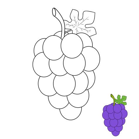 Uva Colorir Grapes Colorear Colorare Uvas Disegni Printable Imprimir ...