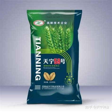 小麦种子,玉米种子,大豆种子-河南省天宁种业有限公司