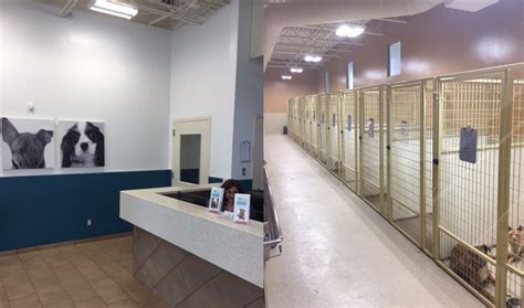 Flat Ruff Building Structure 的图像结果