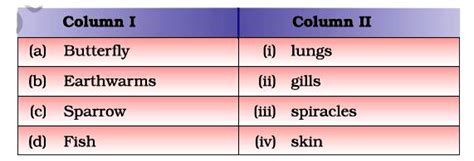 Match the names of organisms in Column I with their organs of breathing ...
