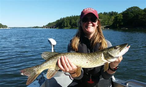 Aventura de pesca en el archipiélago de Vaxholm con la consola central ...