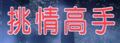 挑情高手 (1995)