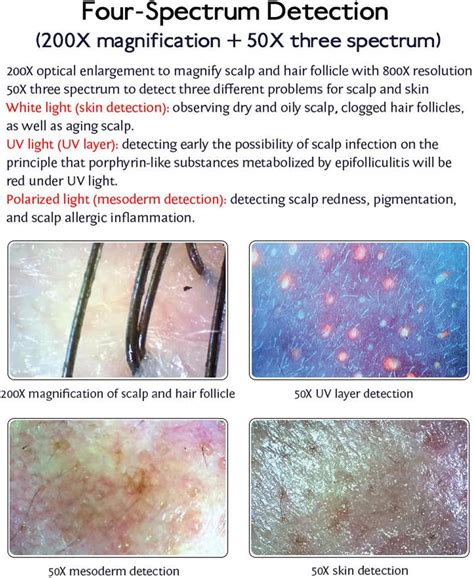 Aigahealea aigahealzhou 2 in 1 Scalp Analysis Machine/Skin India | Ubuy