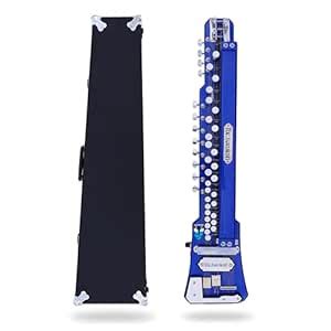 The Kamlesh® TKB29 Banjo (Bulbul Tarang) with Hard Case – 29 Keys, 14 ...