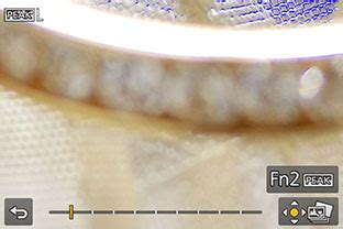 Post Focus on Panasonic LUMIX with 4K Technology