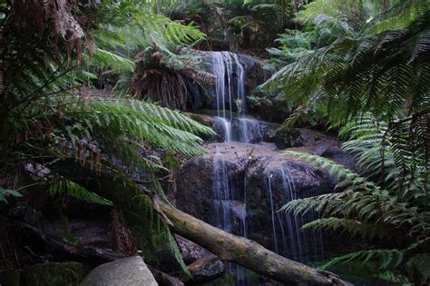 Image result for JavaScript Engine History