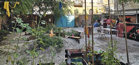 Local Community Groups 的图像结果