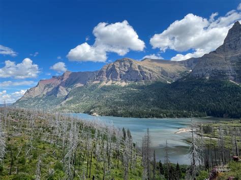 IUFRO - Call for Papers - Ecohydrology Special Issue: Impacts of ...