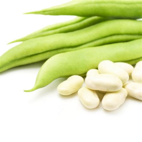 French Beans Seed (25 Seeds) (Home & Garden) – Hug A Plant