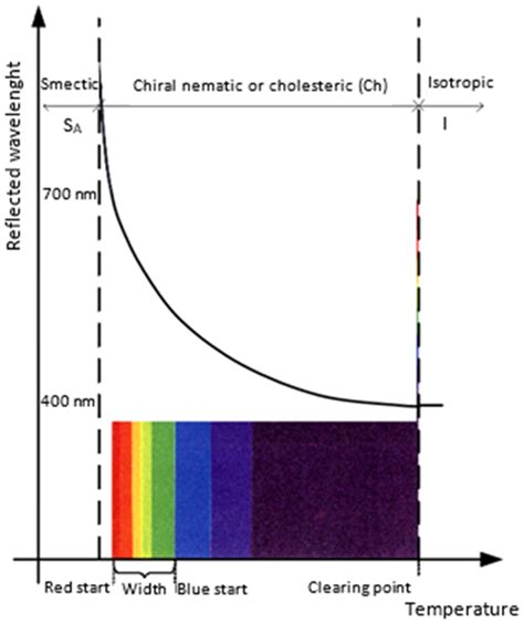 Modeling of Passive and Forced Convection Heat Transfer in Channels ...