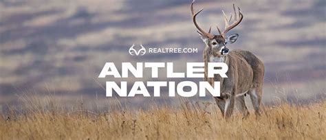 More Doe Tags Available in Pennsylvania This Fall - Realtree Camo
