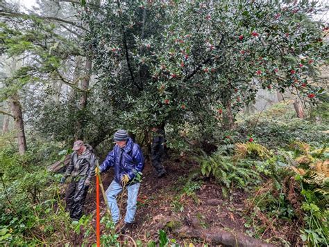 Restoration Event on Squak Mountain with WA State Parks, May Valley ...