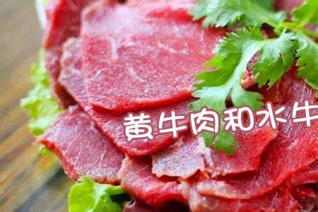 牛总店·贵州黄牛肉馆——冬天吃一次火锅就暖了
