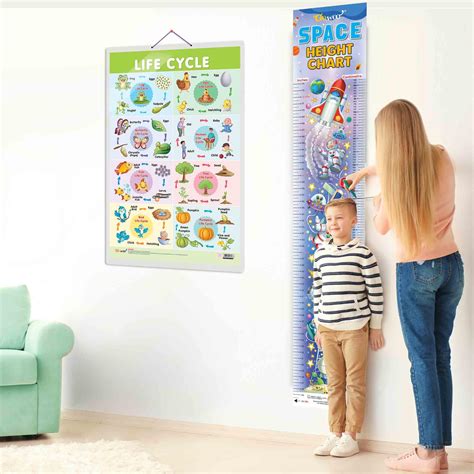 Buy GO WOO Life Cycle Chart and SPACE HEIGHT CHART | Set of 2 charts 1 ...