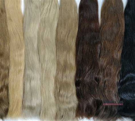 Remy Hair Extensions & Wigs | Manufacturers & Exporters | SalonLabs ...