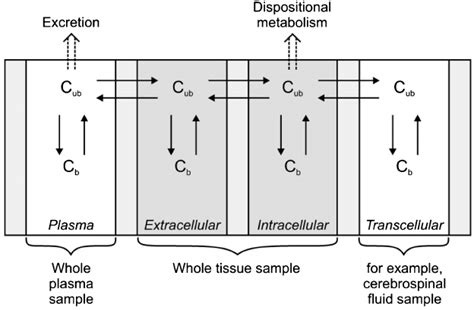 Tissue Distribution 的图像结果