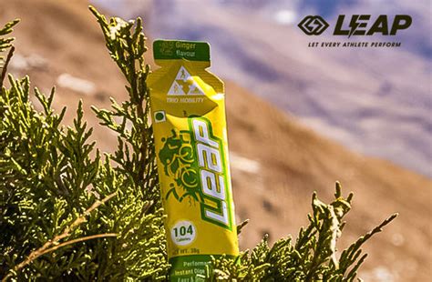 Need For LEAP – LEAPSTORE