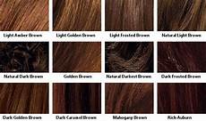Brown Hair Colors Chart by Brown Hair Color Chart Hair And Brown Hair Colors Chart