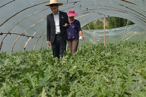 基本户打印开户清单需要什么（九步搞定建行账户资金流水清单打印）_犇涌向乾