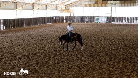 Image result for Reining Tutorials