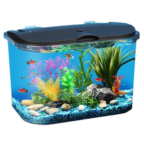 5 Gallon Fish Tanks - Options and Reviews 2023 | A Little Bit Fishy