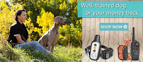 Image result for Petspy Contact Spring Sheet