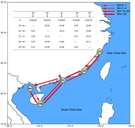 Phylogenetics and Population Genetics of the Petrolisthes lamarckii–P ...