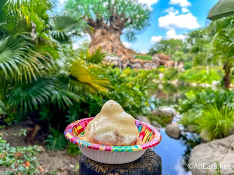 Dole Whip Animal Kingdom