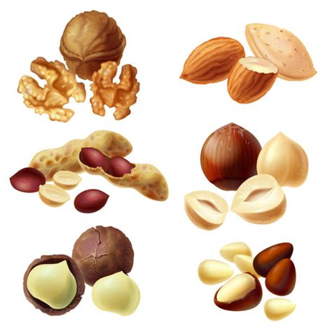 13,100+ Nut Clip Art Stock Illustrations, Royalty-Free Vector Graphics ...