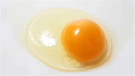 The Benefits of Drinking Raw Eggs: Boost Your Health — Eating Enlightenment