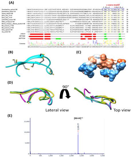 Animals | Special Issue : Recent Advances in Fish and Shellfish Immunology