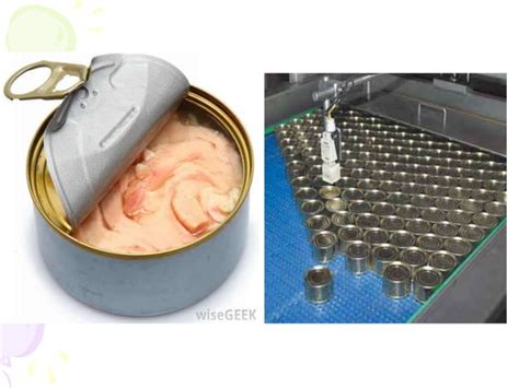 Image result for Fish processing Fish Canning Process