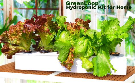 GREENLOOP Hydroponic System, Unique 4 inch Depth for Growth, 2 feet ...
