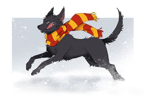 Sirius Black Dog