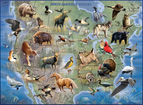 North American Wildlife, 1000 Pieces, Buffalo Games | Puzzle Warehouse