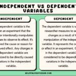 Example of an Independent Data Set 的图像结果