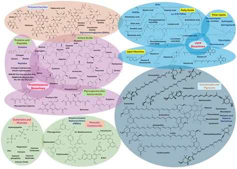 A Comprehensive Review on the Valorization of Bioactives from Marine ...