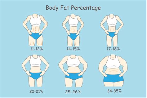女生增肌減脂必看！3分鐘速懂完美體態關鍵是「體脂肪率」與「肌肉量」 - 苼莛生技雜誌
