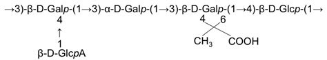 K antigen structure