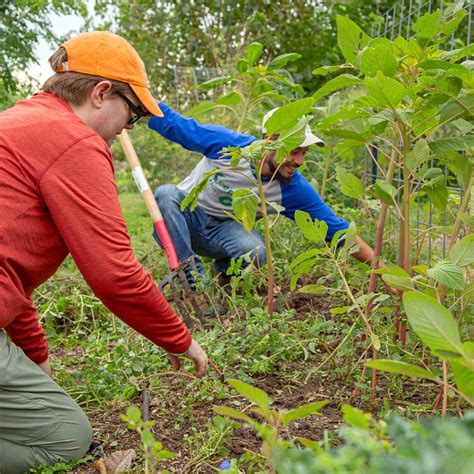 Have you heard of the Community Science Exchange? It is led by a ...